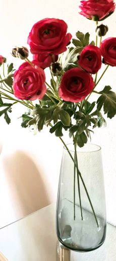 g-11-sandra_aichinger-neurofeedback-erotherapie-muenchen